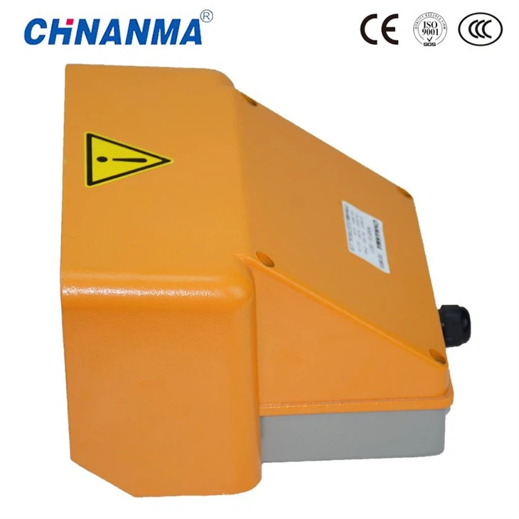 Dual Foot Switch