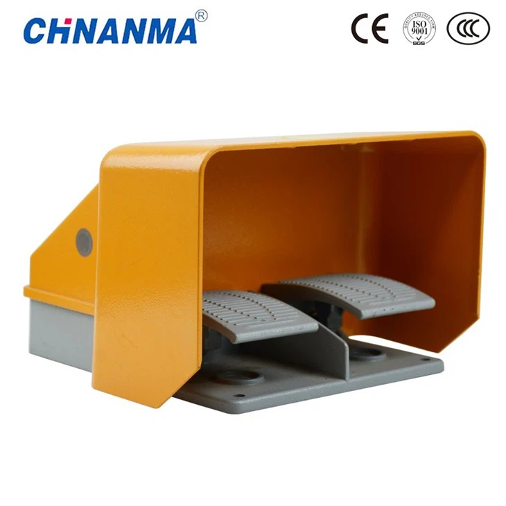 Dual Foot Switch
