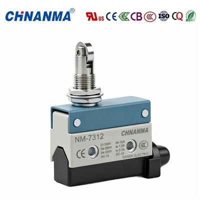 Electronic Plunger Micro Switch